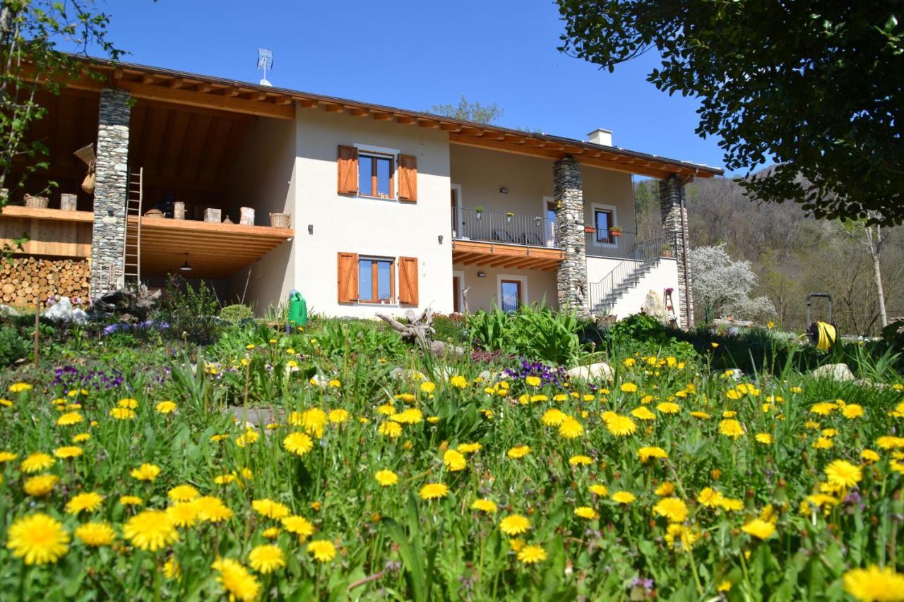 Semi Al Vento: La Bio-Casa Nel Giardino Incantato! Apartment Paesana Ngoại thất bức ảnh