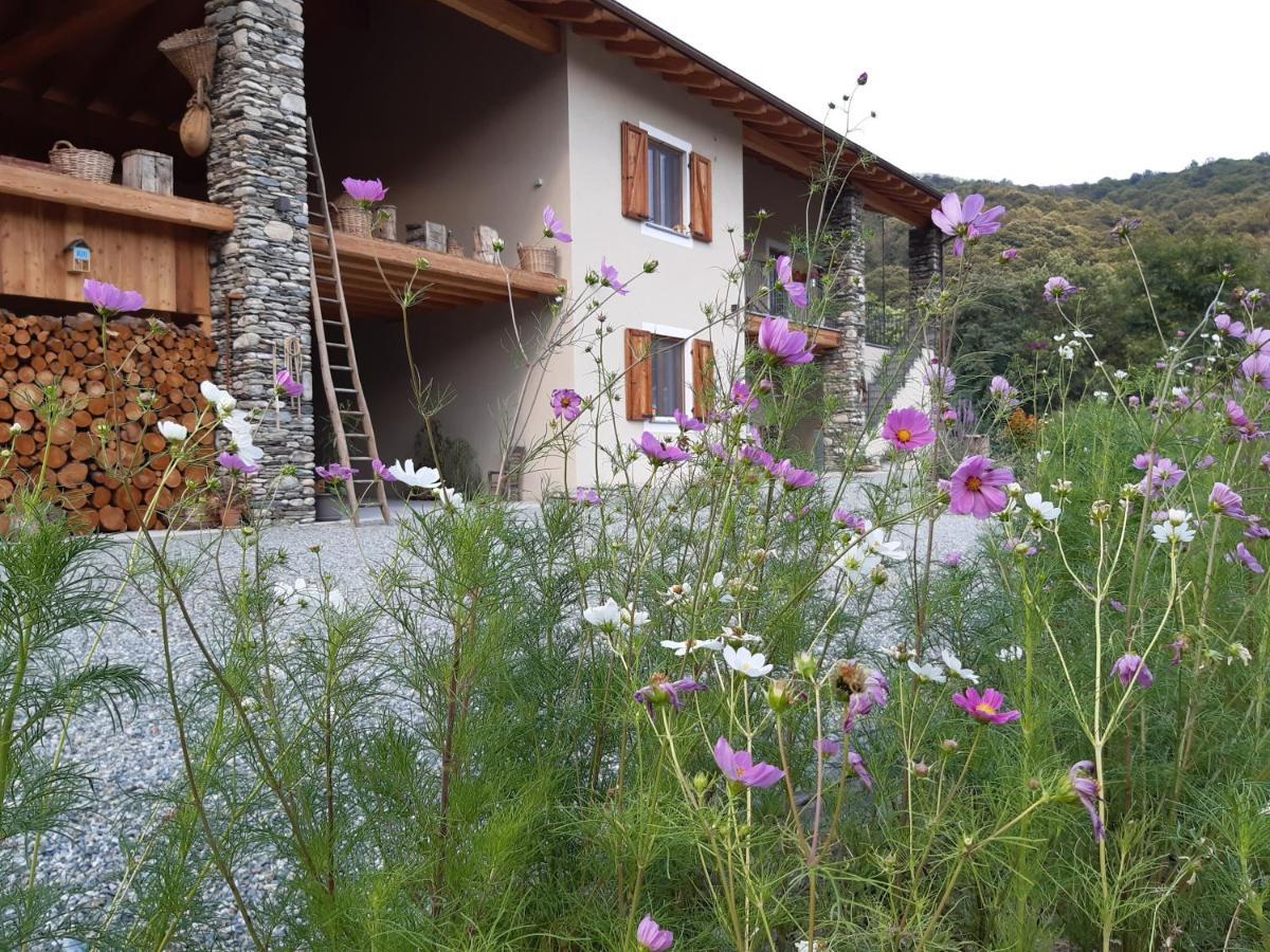 Semi Al Vento: La Bio-Casa Nel Giardino Incantato! Apartment Paesana Ngoại thất bức ảnh