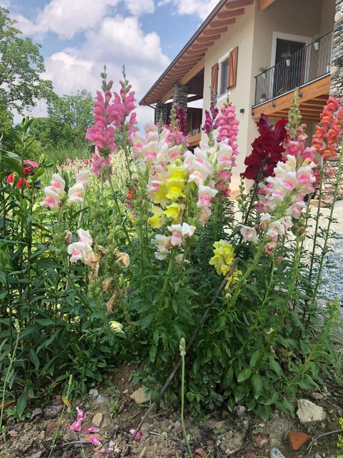 Semi Al Vento: La Bio-Casa Nel Giardino Incantato! Apartment Paesana Ngoại thất bức ảnh