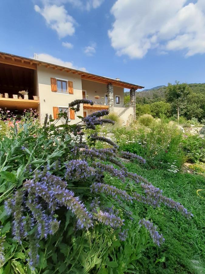 Semi Al Vento: La Bio-Casa Nel Giardino Incantato! Apartment Paesana Ngoại thất bức ảnh