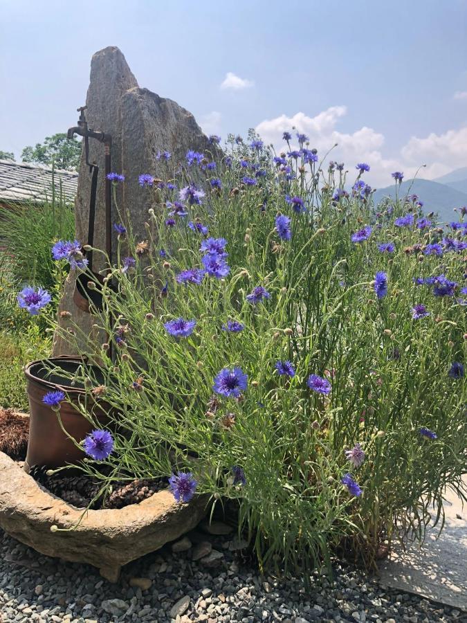 Semi Al Vento: La Bio-Casa Nel Giardino Incantato! Apartment Paesana Ngoại thất bức ảnh