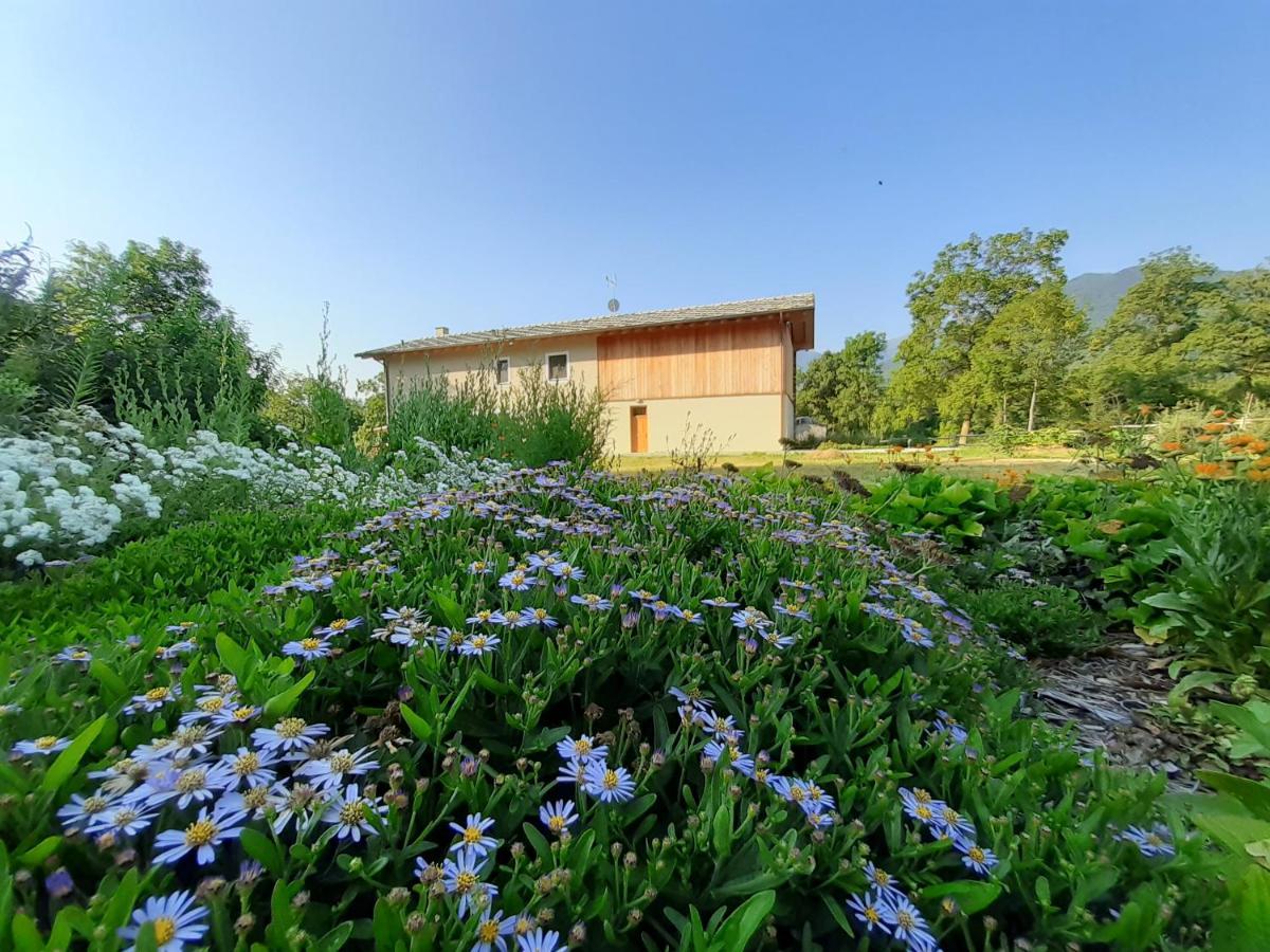 Semi Al Vento: La Bio-Casa Nel Giardino Incantato! Apartment Paesana Ngoại thất bức ảnh
